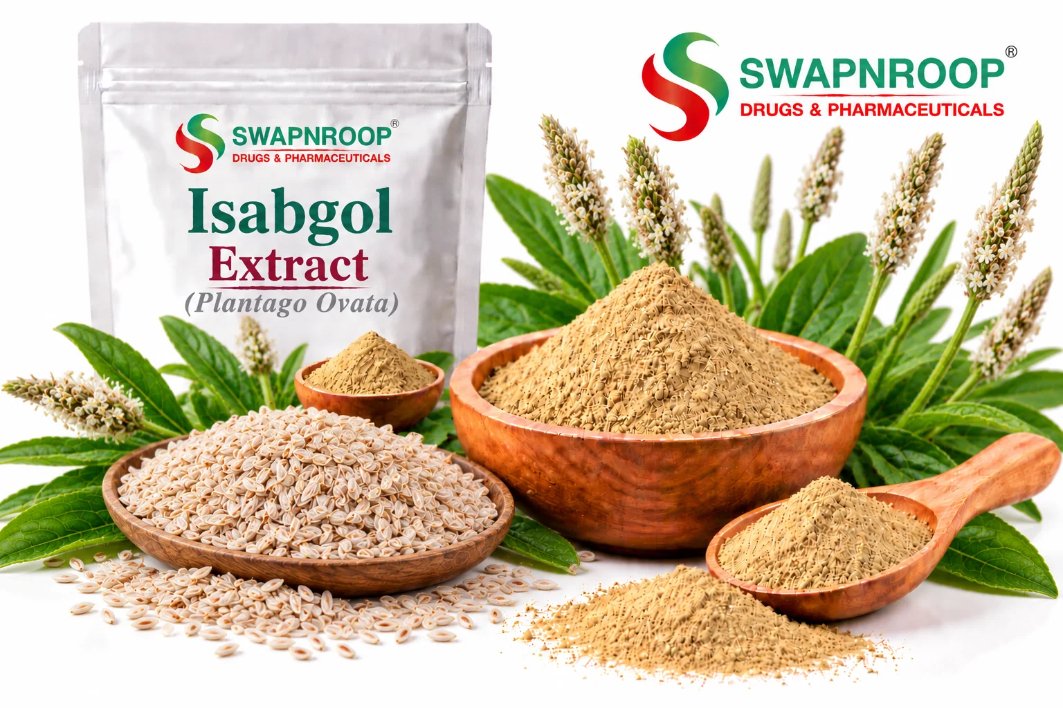 Isabgol Extract Manufacturer in India