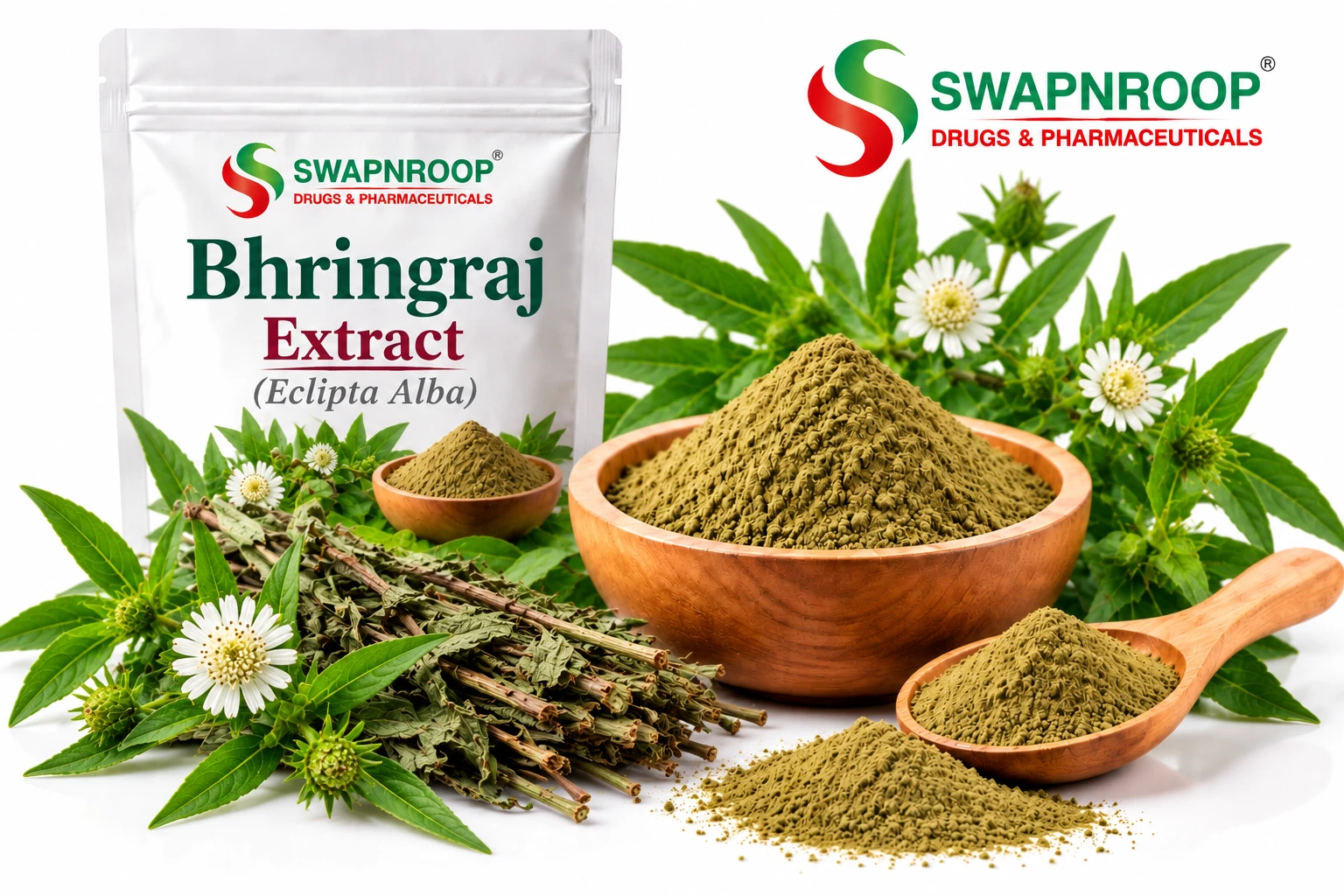 Bhringraj Extract Manufacturer in India – Eclipta Alba Herbal Extract Herbal Extracts