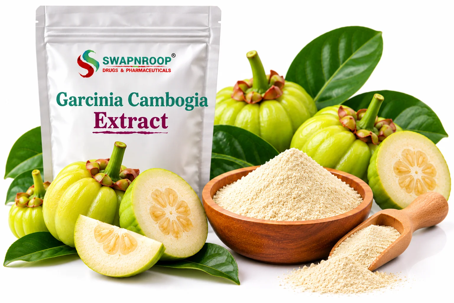 Garcinia Cambogia Extract Manufacturer in India