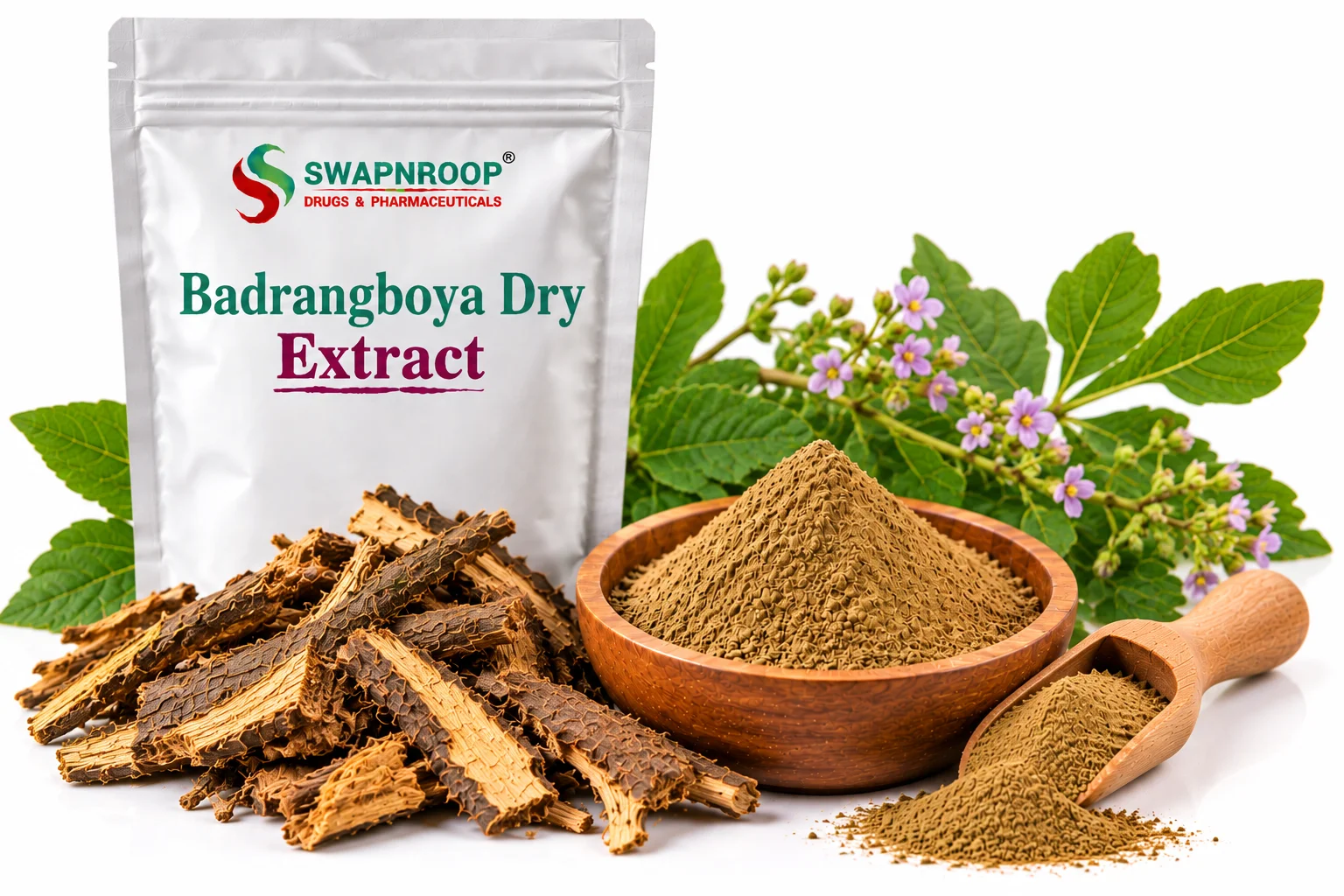 Badrangboya Dry Extract Manufacturer in India