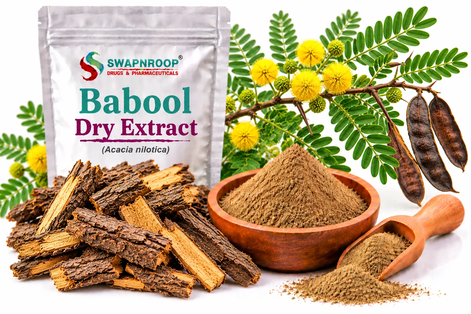 Babool Dry Extract Manufacturer in India