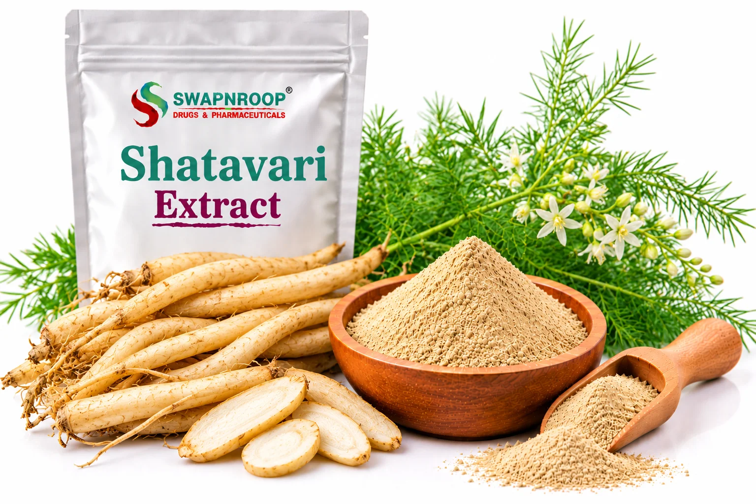Shatavari Extract Manufacturer in India