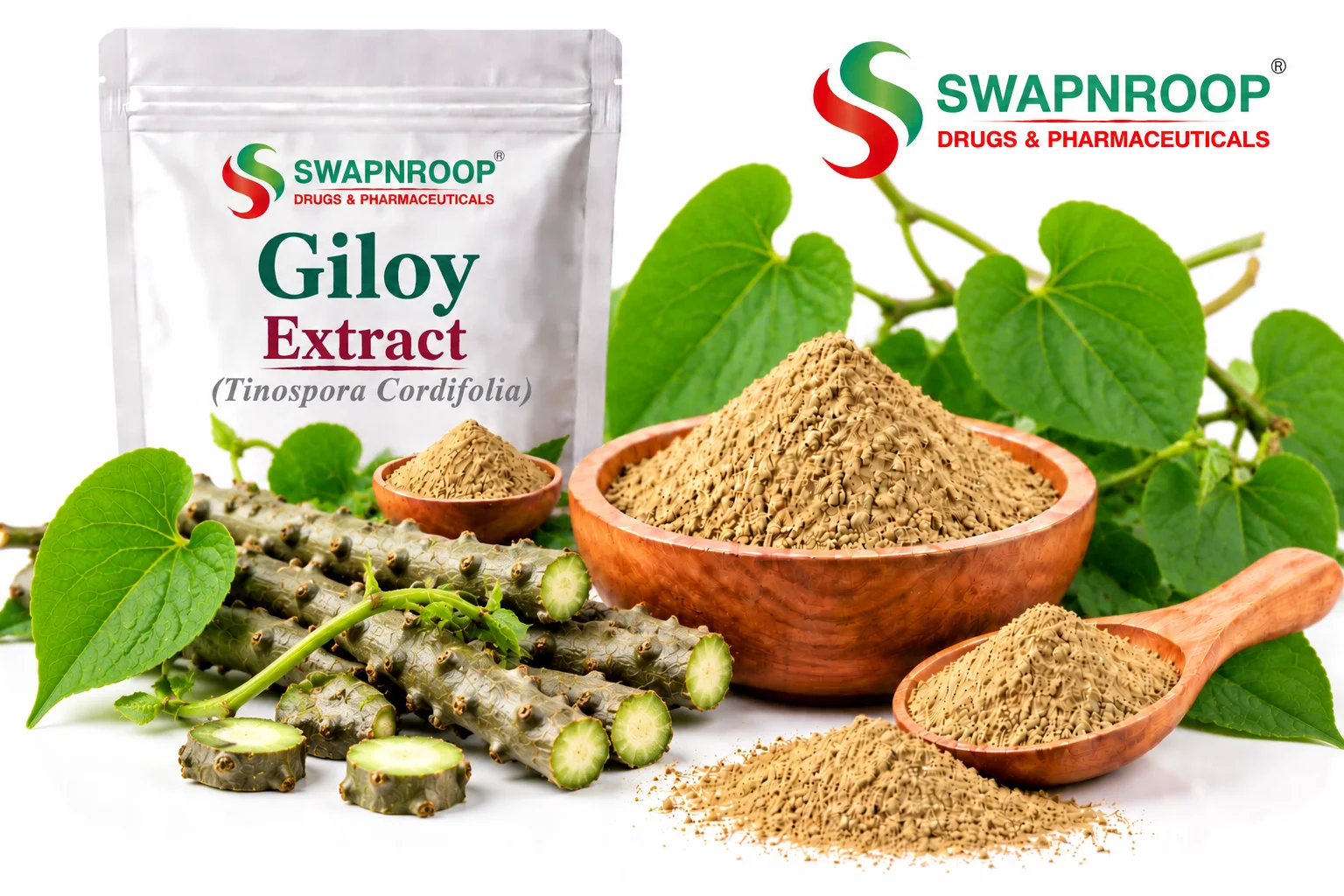 Giloy Extract Manufacturer in India