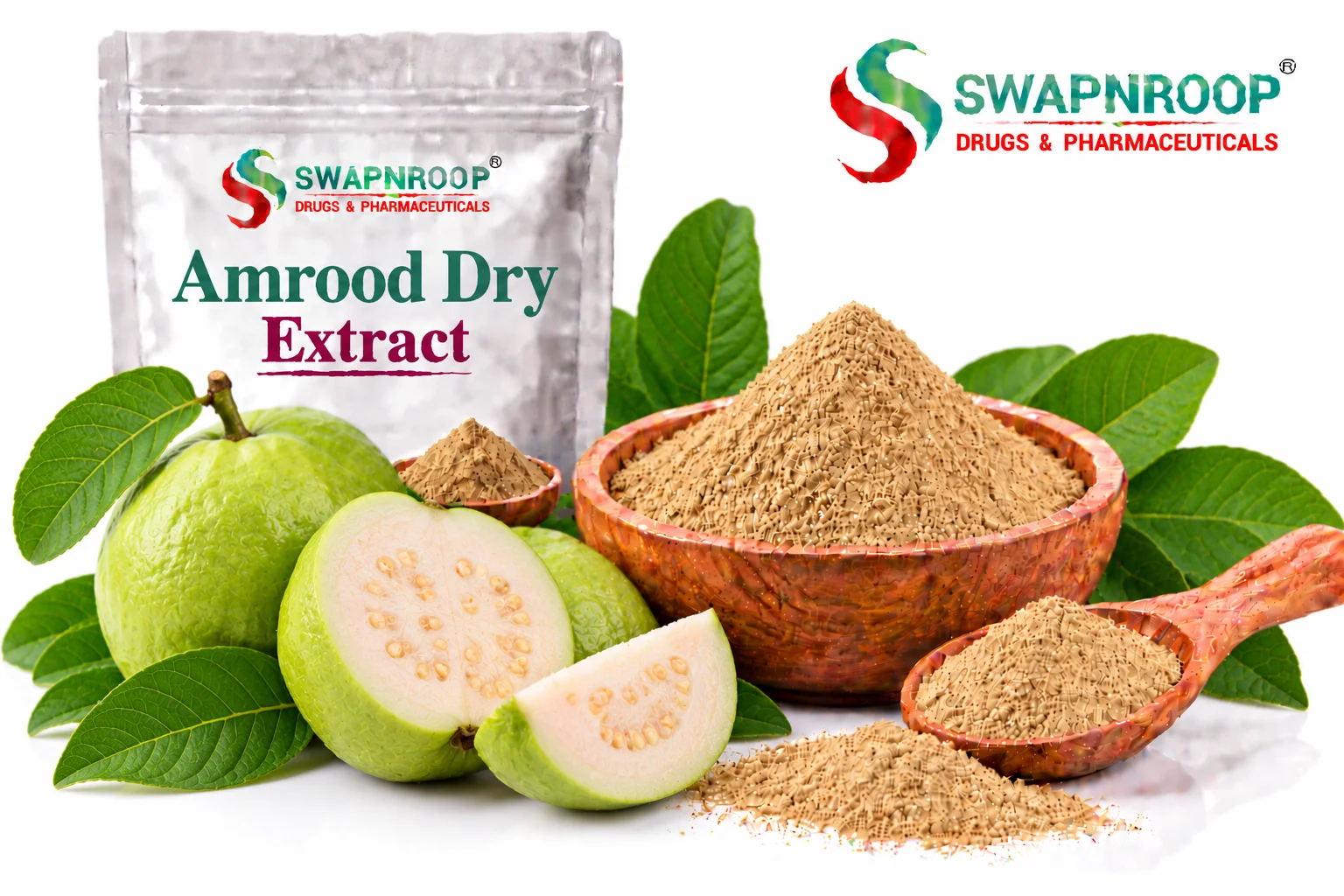 Amla Dry Extract Manufacturer in India