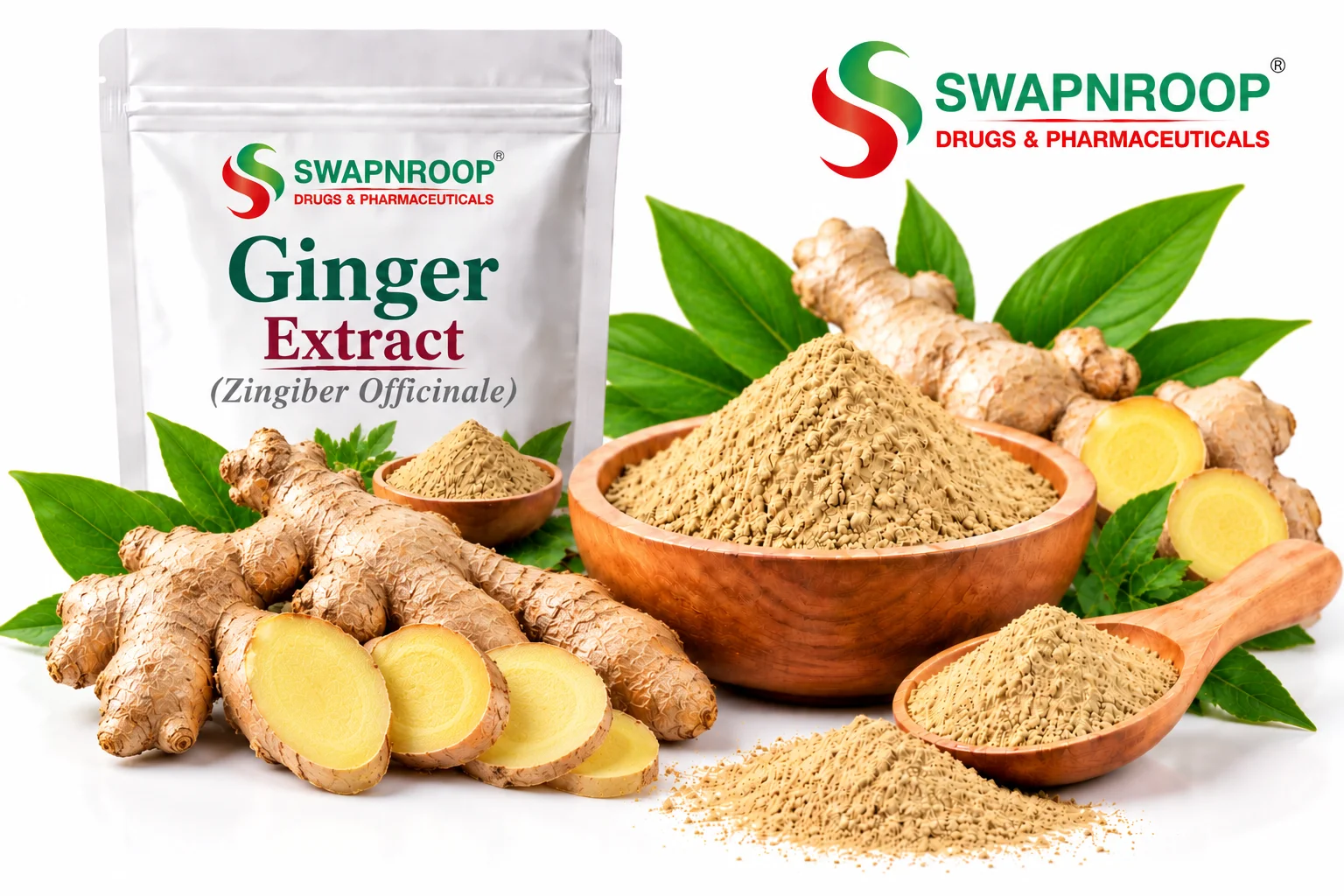 Ginger Extract Herbal Extracts