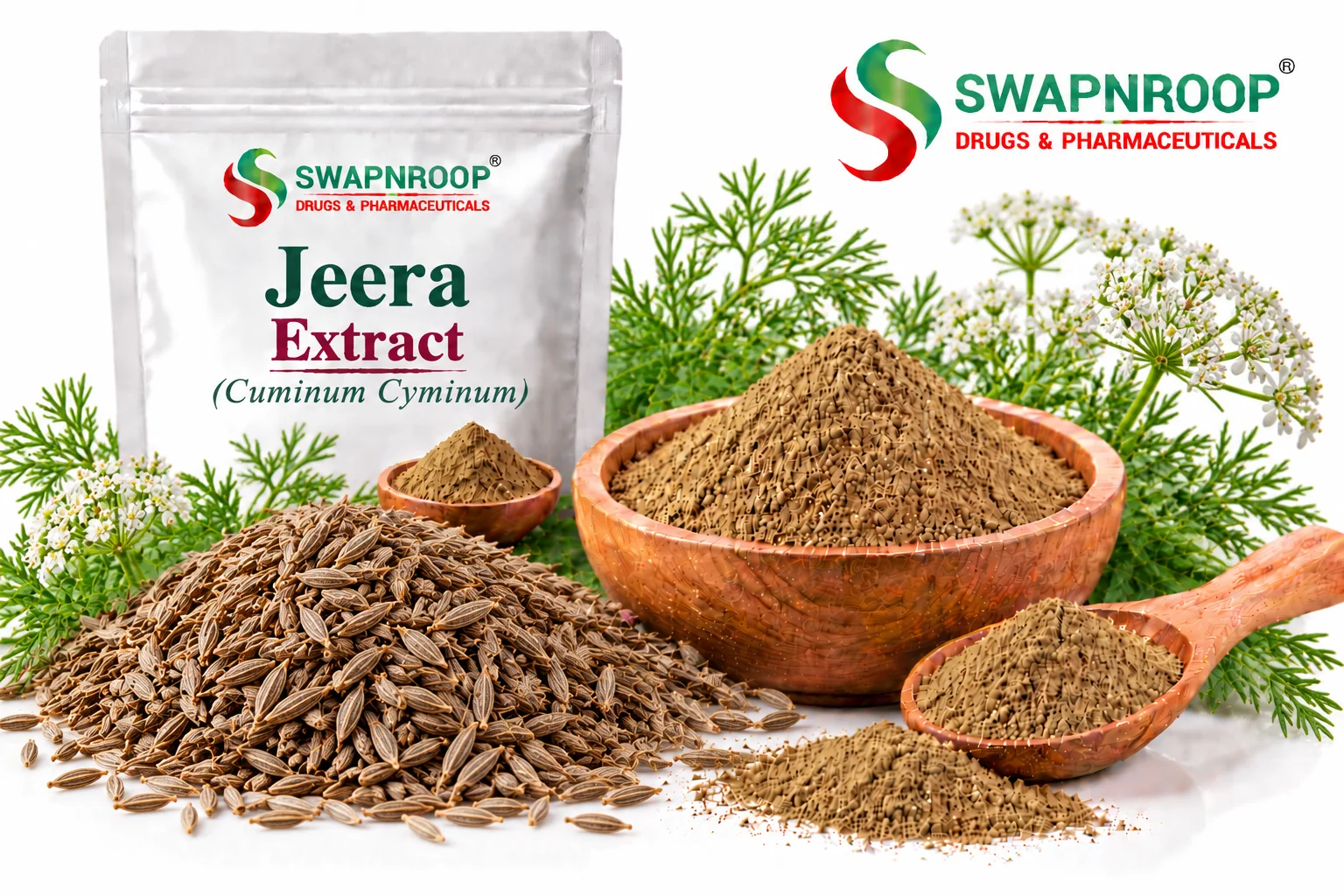Jeera Extract Herbal Extracts