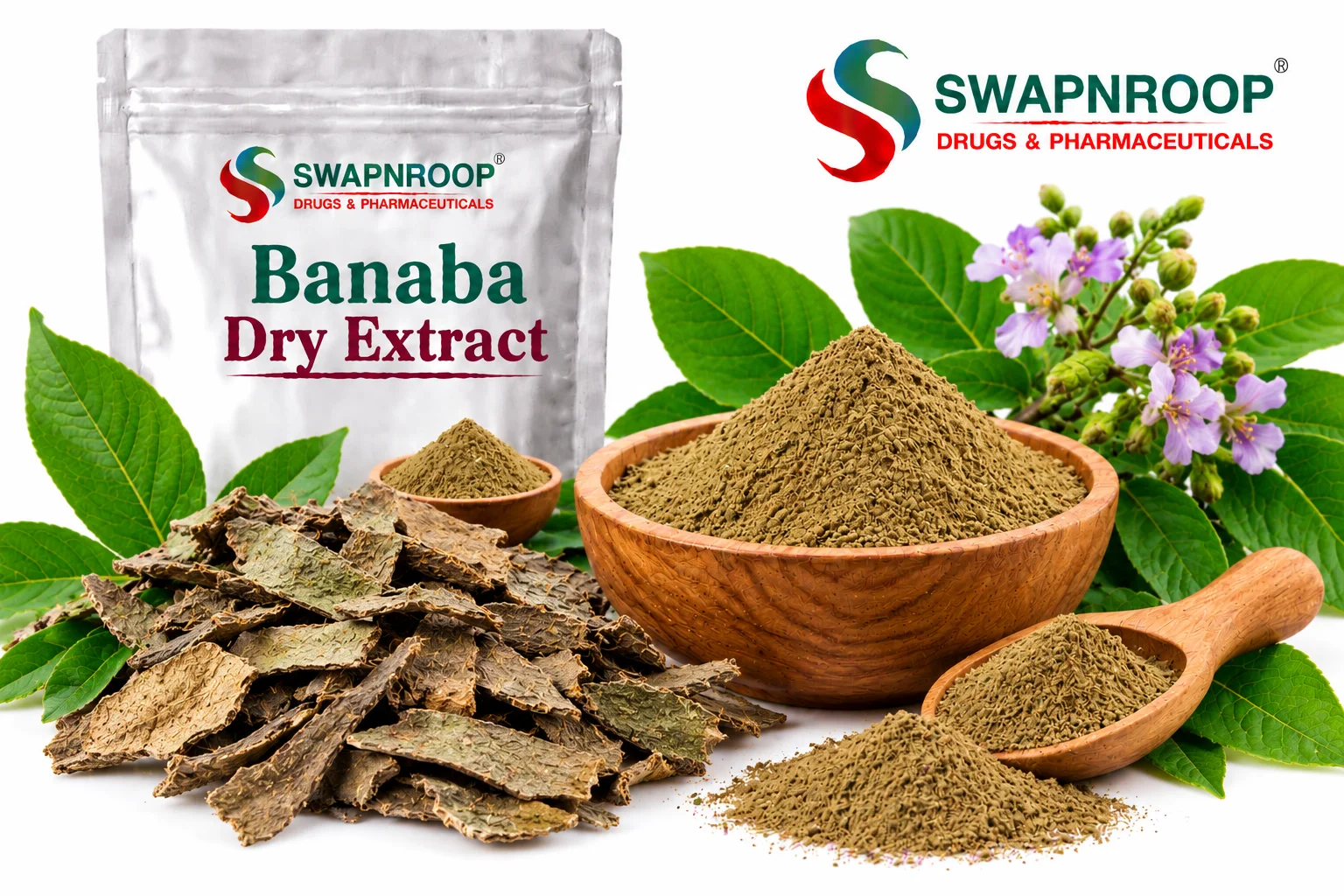 Banaba Dry Extract Manufacturer in India