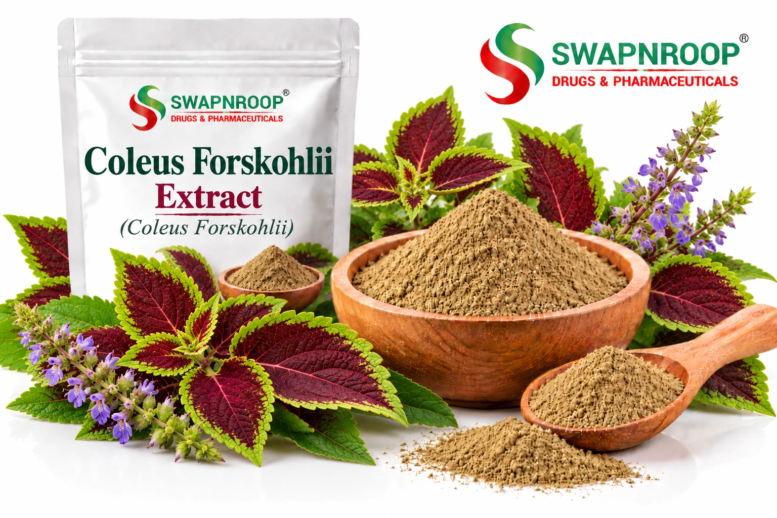 Coleus Forskohlii Extract Herbal Extracts