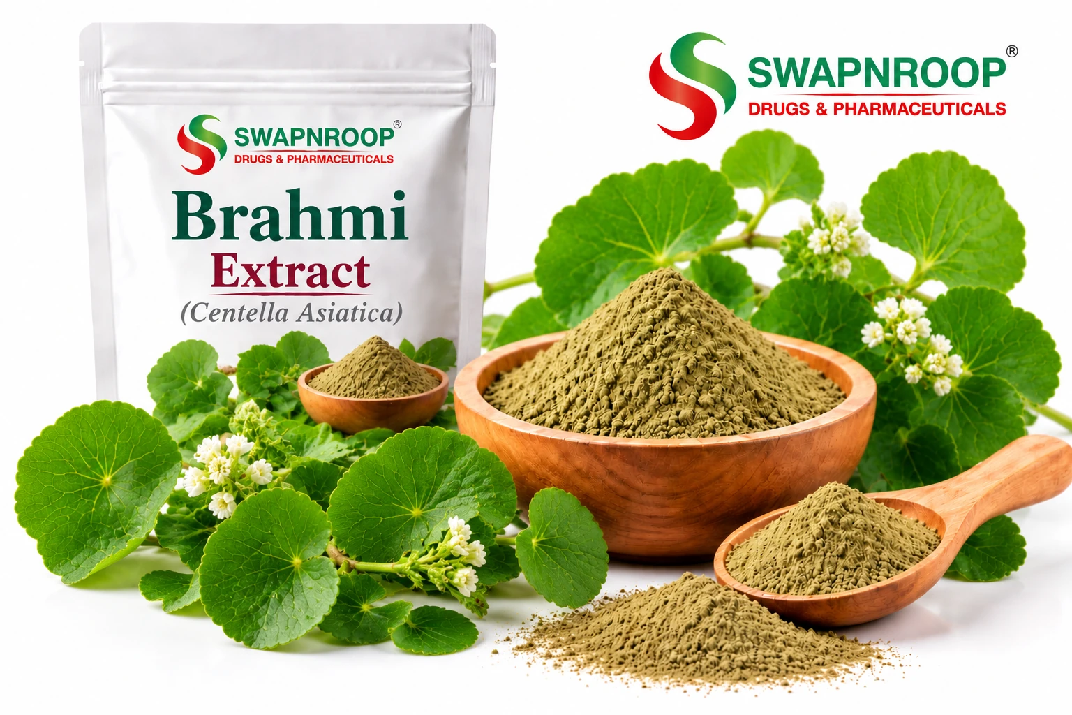 Brahmi Extract Manufacturer in India – Centella Asiatica Botanical Extract Herbal Extracts