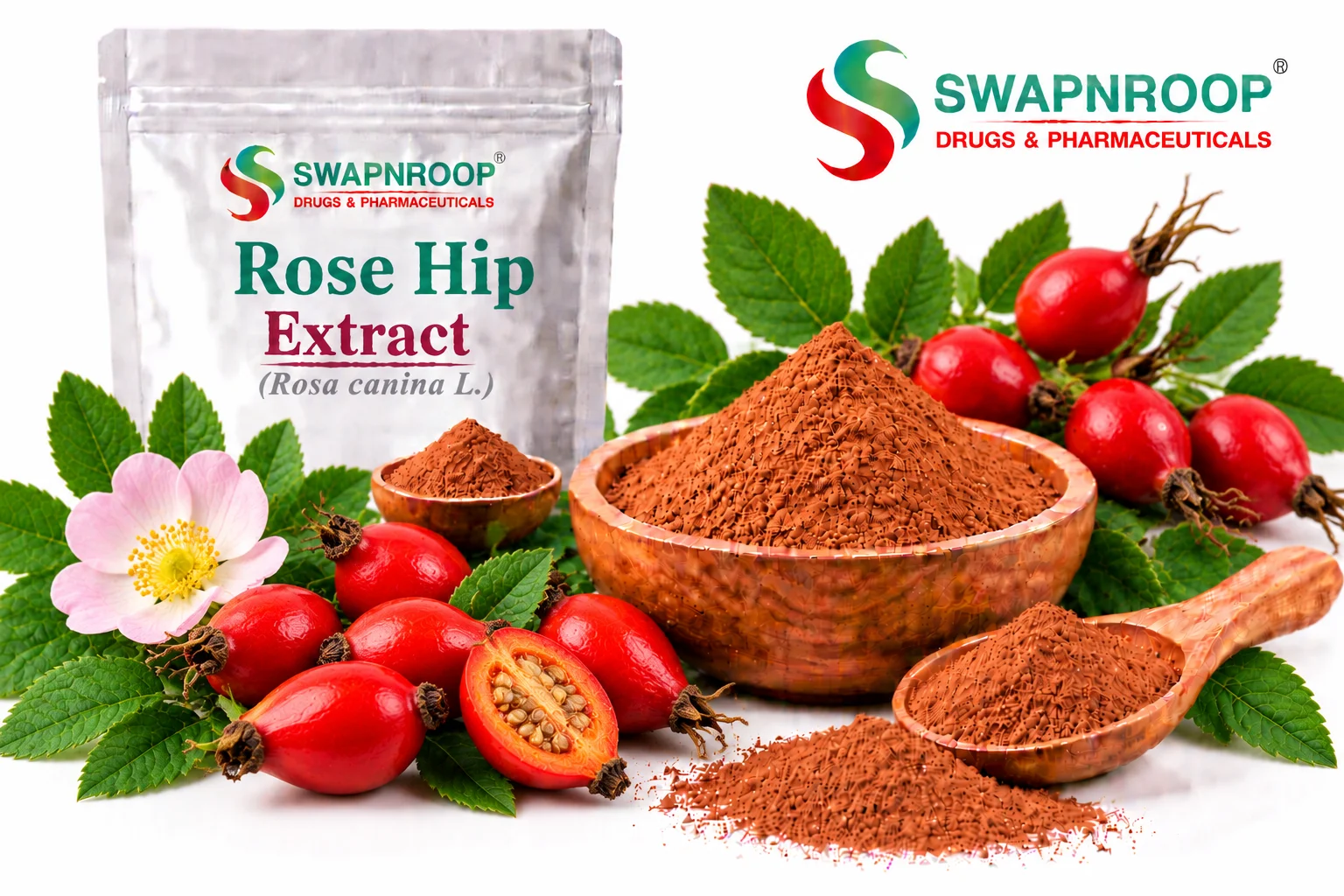 Rose Hip Extract Manufacturer in India