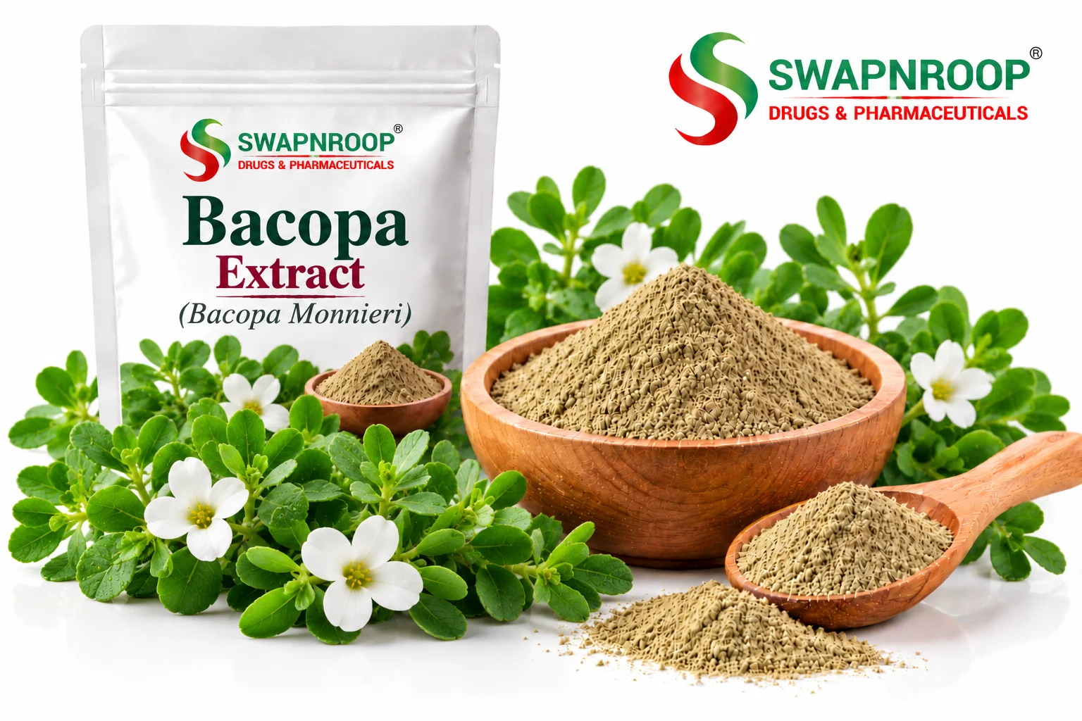 Bacopa Dry Extract Manufacturer in India