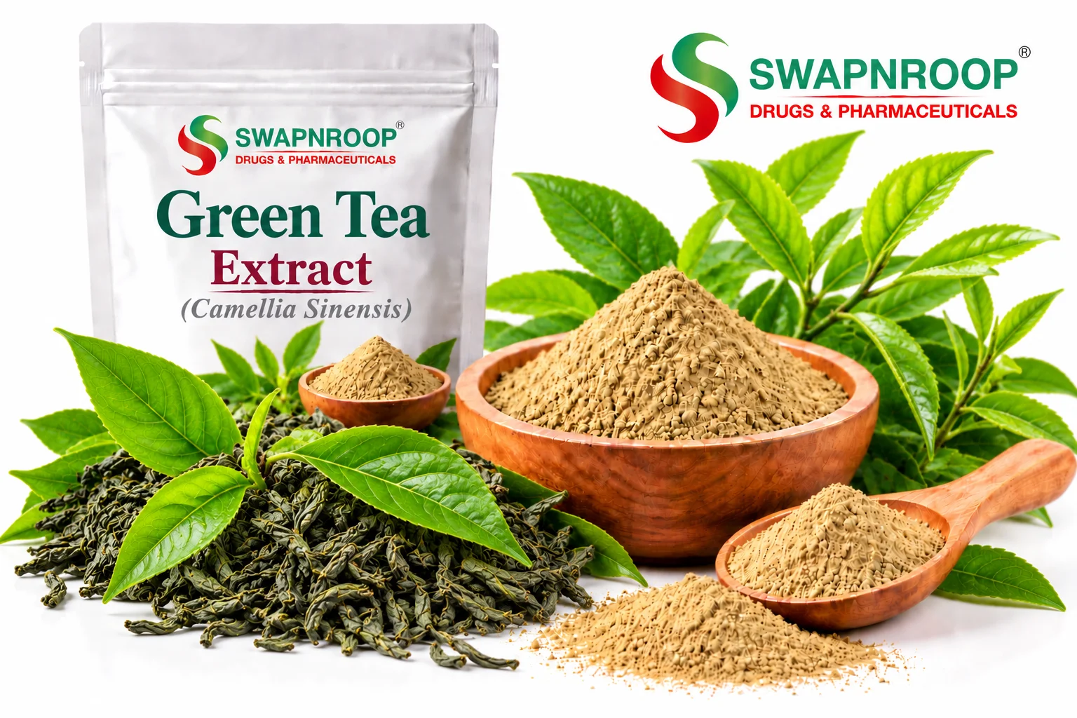 Green Tea Extract Manufacturer in India