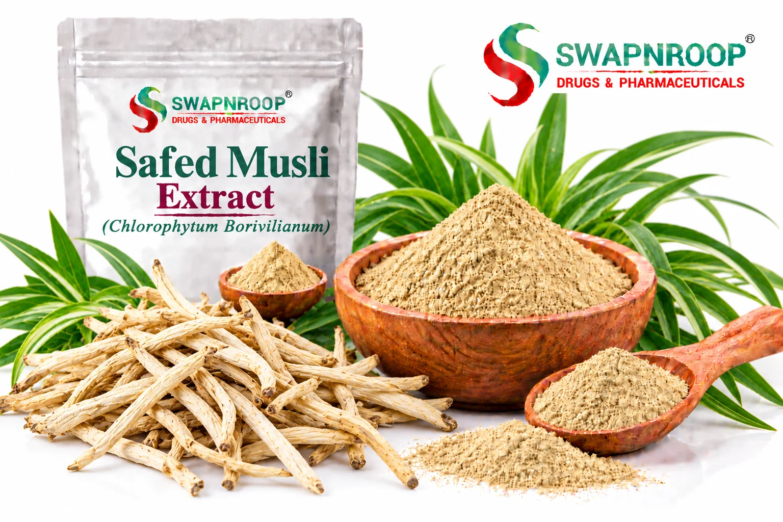 Safed Musli Extract Manufacturer in India