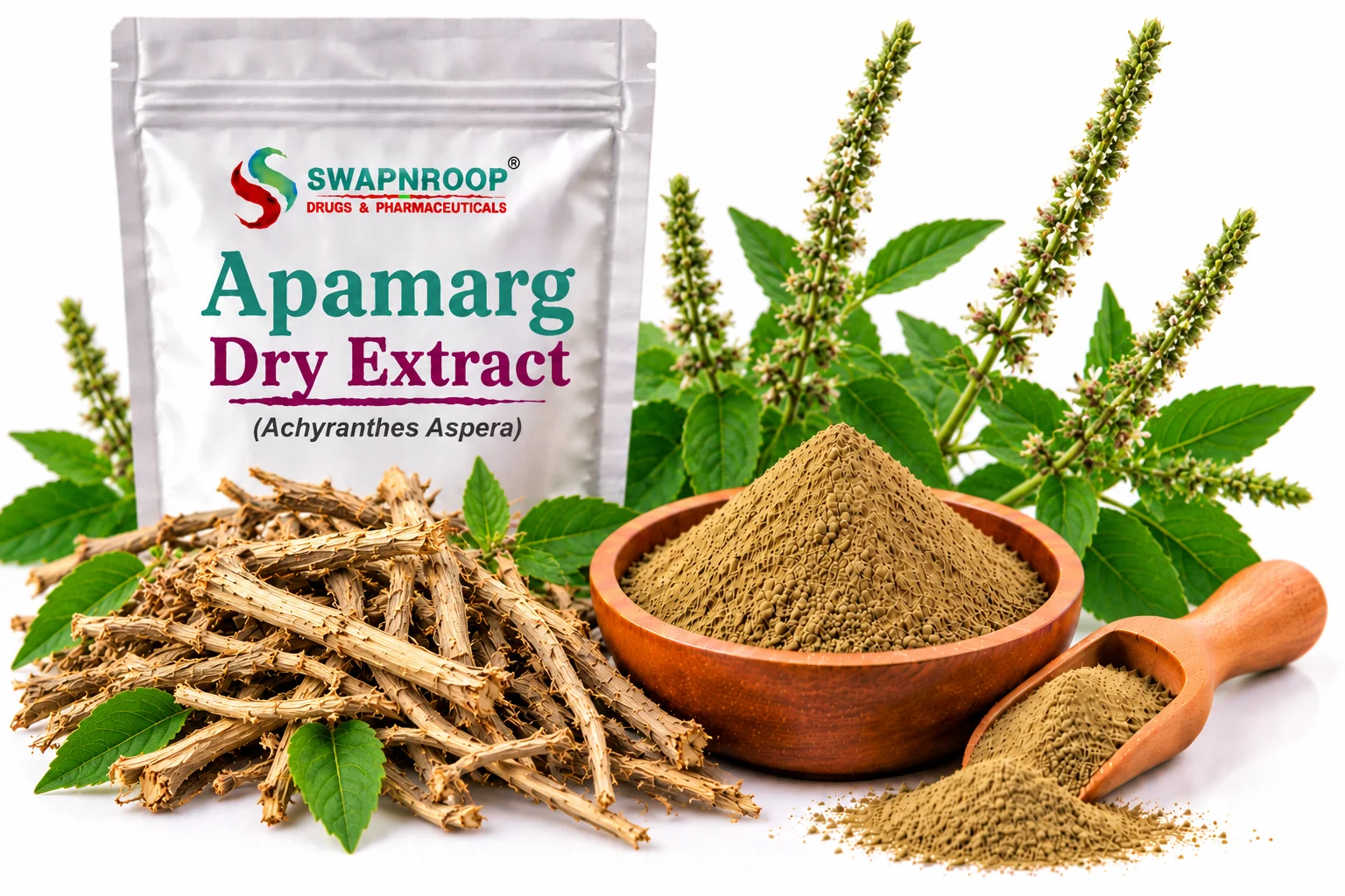 Apamarg Dry Extract Manufacturer in India