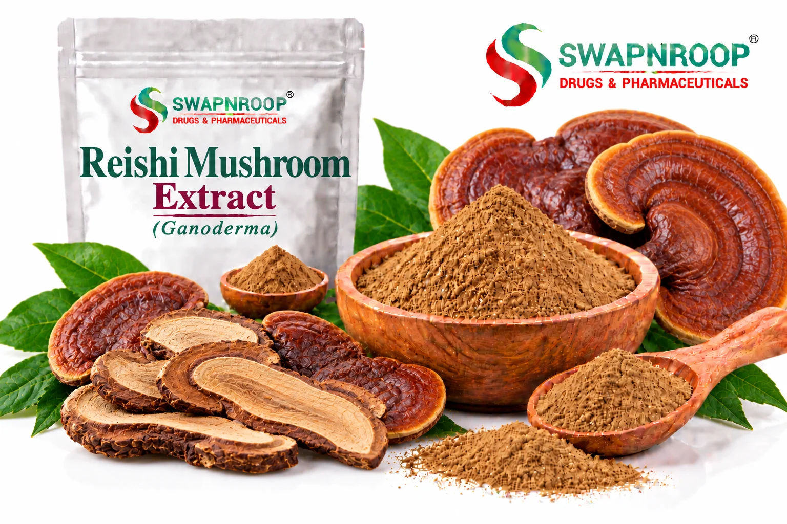 Reishi Mushroom Extract Manufacturer in India